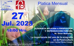 PLATICA Mensual