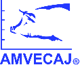 Website AMVECAJ